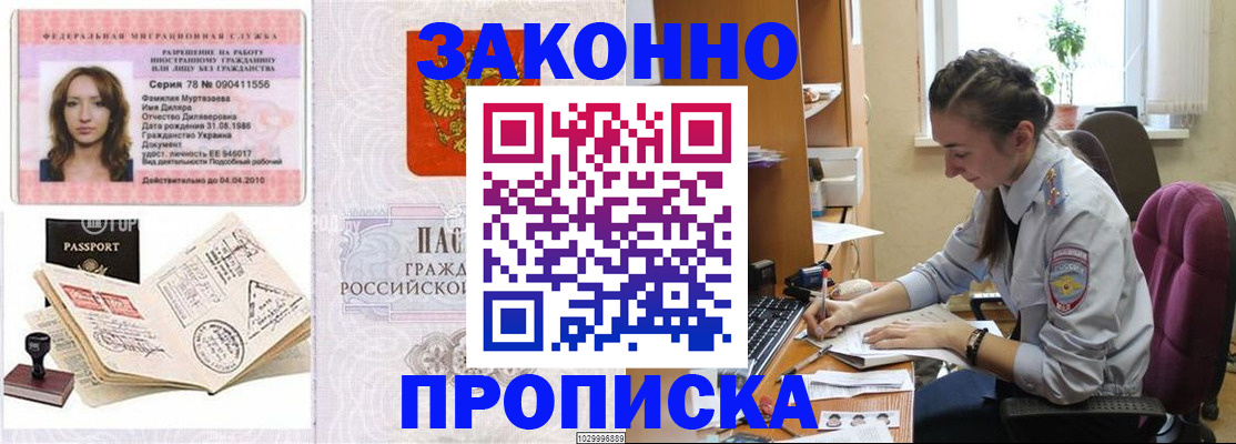 прописка в квартире в Кольчугино